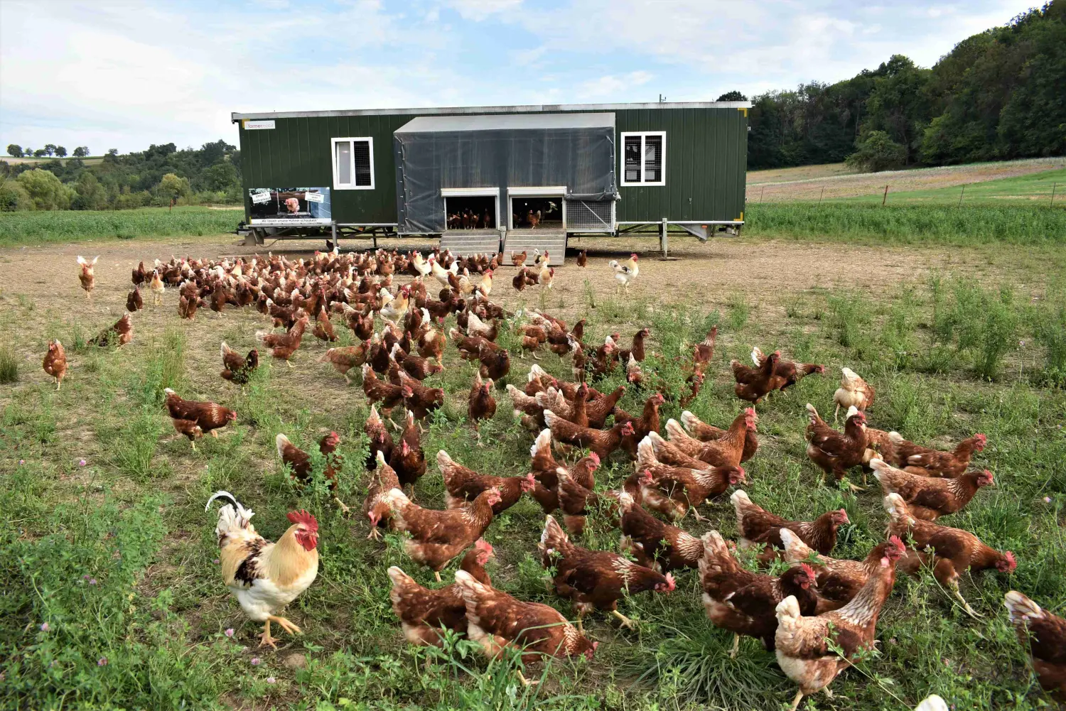 Geflügelfarm von Uhlers Hofverkauf